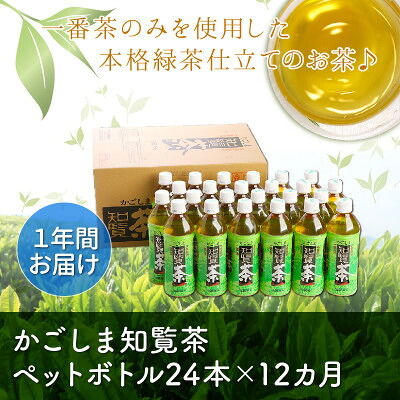 【ふるさと納税】【毎月定期便】かごしま知覧茶ペットボトル定期便全12回【4088561】｜鹿児島県南九州市
