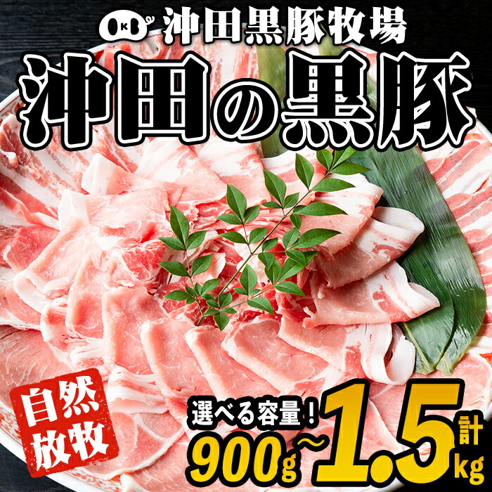 【ふるさと納税】＜容量を選べる！＞鹿児島県産！幻の黒・沖田の黒豚(計900g or 1.5kg・ロース、肩ロース、バラ、モモ、ウデ) 国産 九州産 鹿児島 肉 お肉  黒豚 豚肉 生姜焼き しょうが焼き しゃぶしゃぶ 冷凍 冷凍便【沖田黒豚牧場】【A3-01・B6-01】