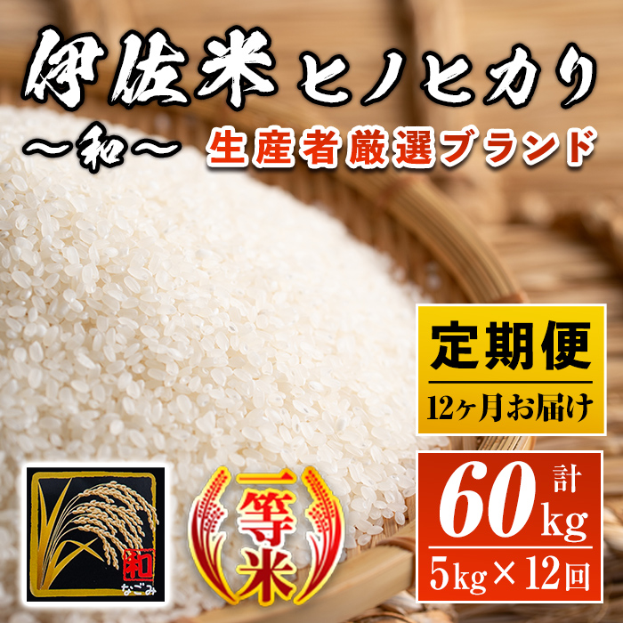 即納特典付き ふるさと納税 定期便 鹿児島県産 伊佐米 和 なごみ 計60kg 5kg 12ヶ月 生産者を厳選したブランド米 神薗商店 L8 01 高質で安価 Lexusoman Com