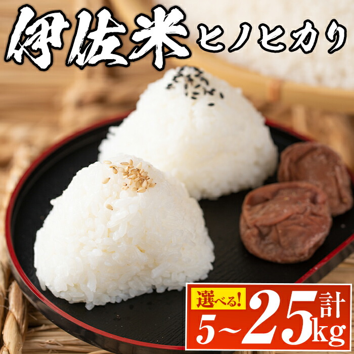 【ふるさと納税】<容量を選べる!>鹿児島県産!伊佐米ヒノヒカリ(計5~25kg) 国産 白米 精米 伊佐米 お米 米 ひのひかり【神薗商店】|鹿児島県伊佐市