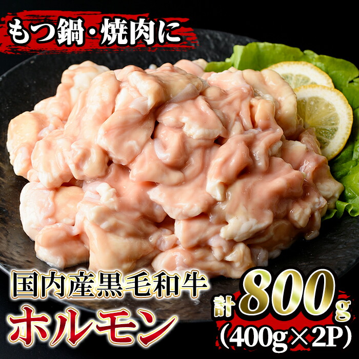 【ふるさと納税】国内産黒毛和牛！ホルモン(計800g・400g&times;2P) 国産 牛 和牛 大腸 小腸 赤センマイ ミックス 小分け 真空パック もつ鍋 焼肉 煮込み BBQ バーベキュー アウトドア 冷凍 冷凍便【堀ノ内商会】｜鹿児島県伊佐市