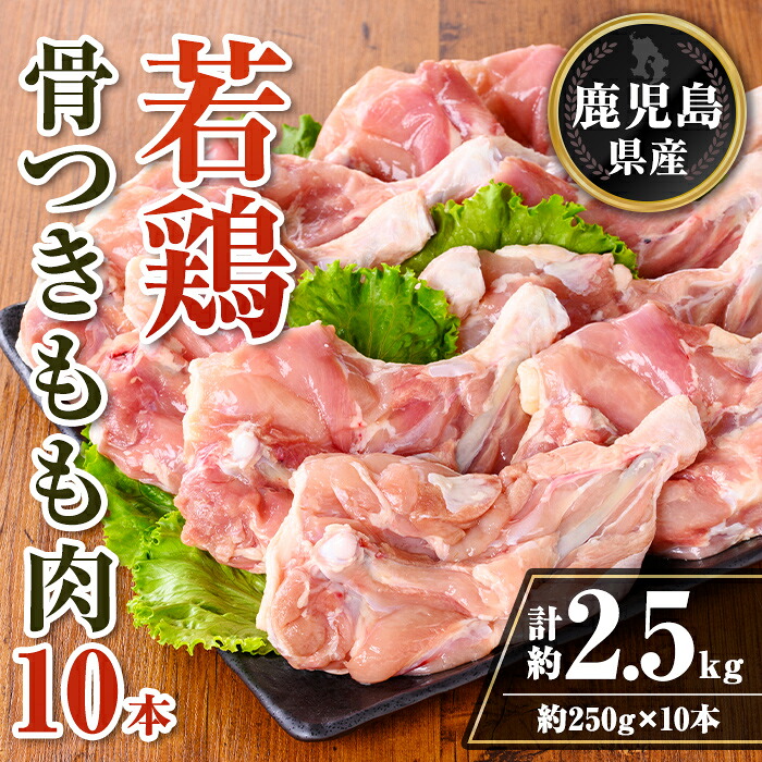 【ふるさと納税】鹿児島県産 若鶏骨付きもも10本セット (計約2.5kg・約250g×10本) 鹿児島県産 鶏肉 鳥肉 もも肉 モモ肉 下処理 煮込み ロースト から揚げ 真空 真空パック アウトドア BBQ 冷凍 【TRINITY】|鹿児島県伊佐市