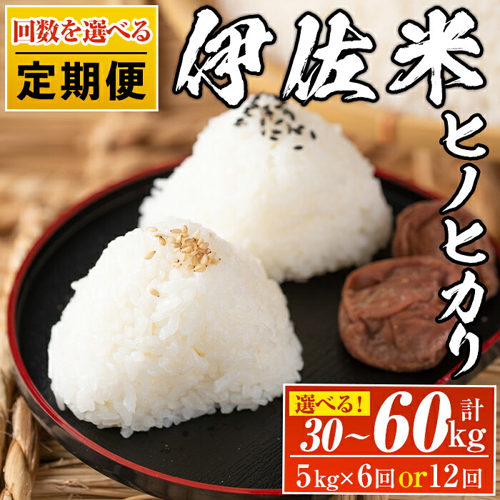 【ふるさと納税】<回数を選べる!>【定期便】鹿児島県産!伊佐米ヒノヒカリ(計30kg or 60kg) 薩摩 北の郷 特産品 お米 白米 精米 ひのひかり【神薗商店】|鹿児島県伊佐市