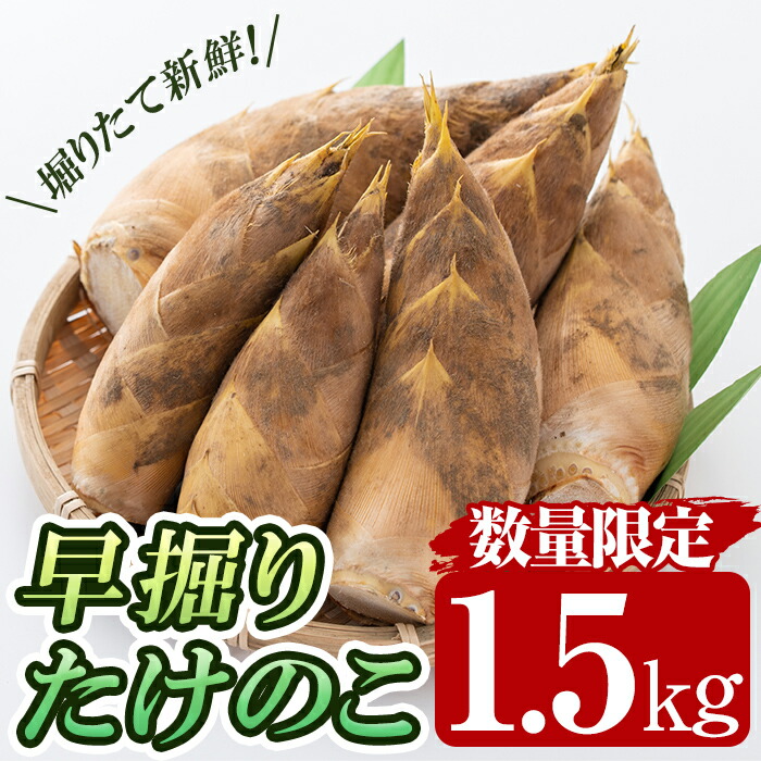 (期間限定) 鹿児島県産 たけのこ 7キロ 新物 楽天市場】【ふるさと納税】≪数量限定≫鹿児島県出水市産