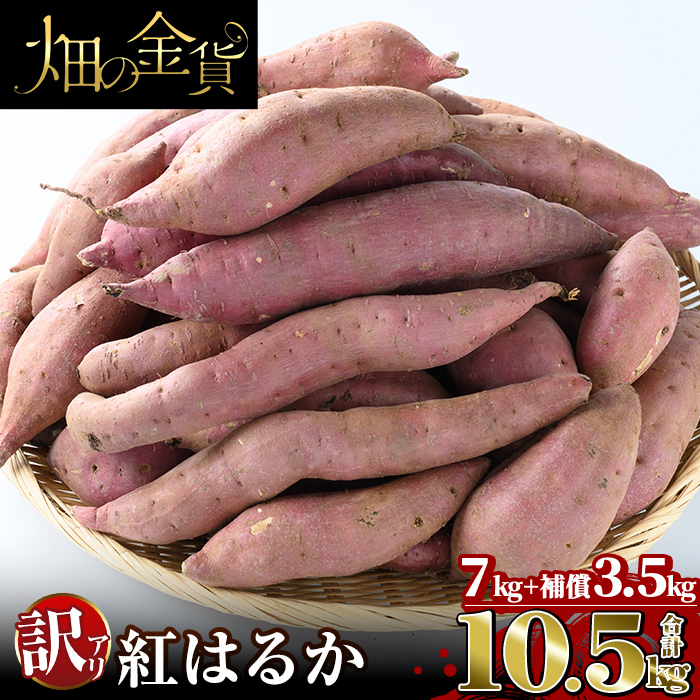 【ふるさと納税】《訳あり》畑の金貨・訳あり紅はるか7kgと補償3.5kg 合計10.5kg(生芋)国産 姶良市 さつまいも さつま芋 サツマイモ 紅はるか べにはるか 貯蔵 熟成 蜜芋 蜜いも【甘いも販売所】
