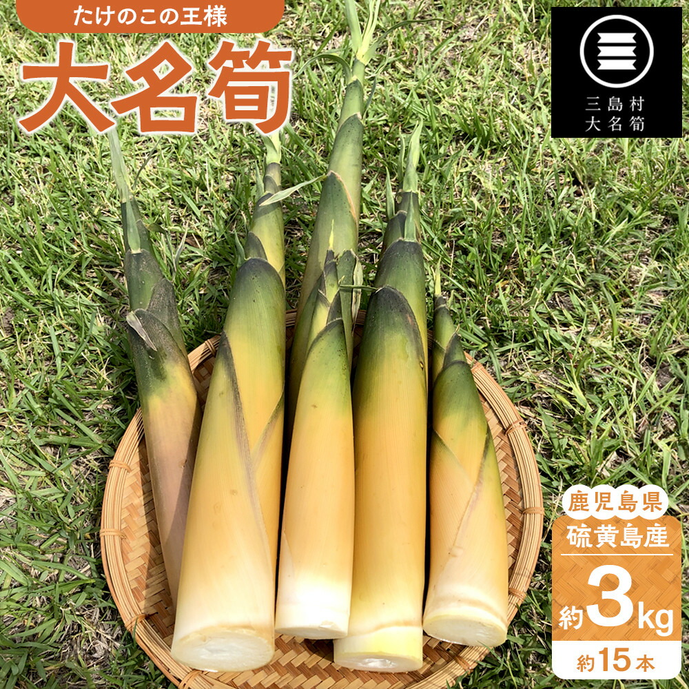 【ふるさと納税】【2026年お届け】大名筍 3kg ( 約15本 ) ( 硫黄島産 )～2026年5月初旬以降順次発送予定～ | 先行受付 アク抜き不要 筍の王様 高級食材 絶品 たけのこ タケノコ 筍 竹の子 野菜 やさい 山菜 人気 送料無料 鹿児島県 鹿児島 九州 11,250円