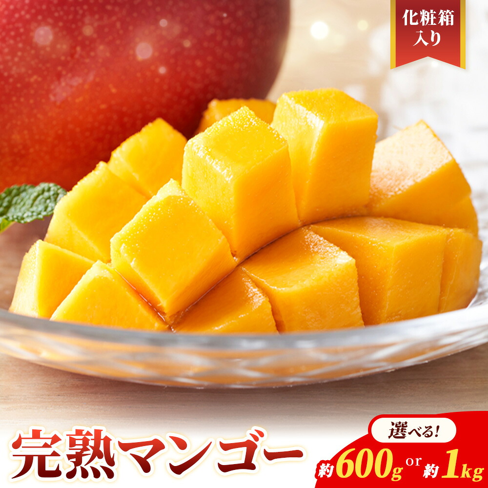 【ふるさと納税】鹿児島県産 完熟マンゴー 化粧箱入り 選べる内容量 約600g 約1kg 祝迫果樹園《6月中旬-7月中旬頃出荷》鹿児島県 さつま町 マンゴー 果実 果物 くだもの フルーツ 果肉 果汁 高級 ご褒美 贅沢 グルメ 送料無料