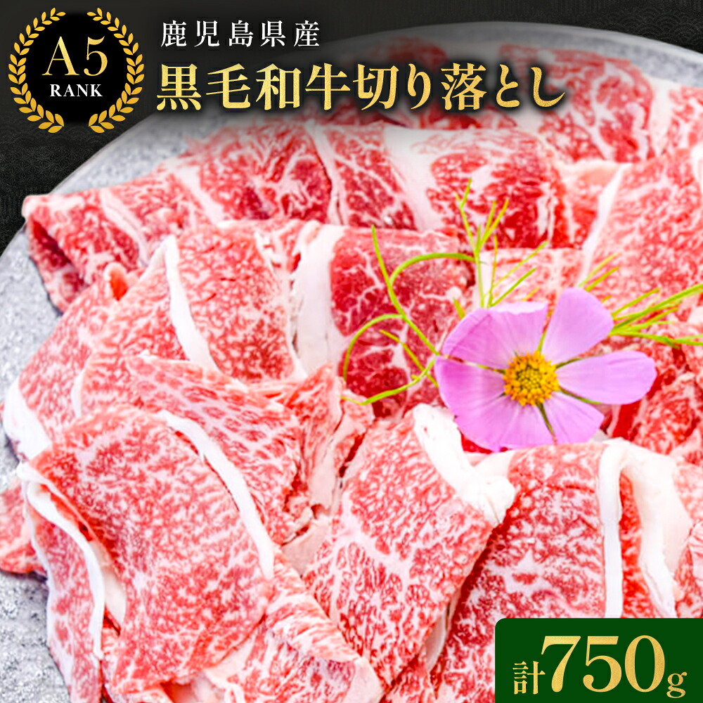 【ふるさと納税】鹿児島県産黒毛和牛切落し250ｇ×3パック【株式会社カミチク】 《90日以内順次出荷(土日祝除く)》鹿児島県産 A5 黒毛和牛 和牛 切落し 250ｇ×3パック 計750g