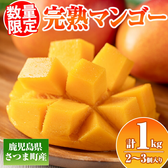 【ふるさと納税】≪数量限定≫完熟マンゴー(化粧箱入り2～3玉・計1kg) 鹿児島 国産 九州産 マンゴー フルーツ 完熟 果物 果実 ギフト プレゼント 贈答【祝迫果樹園】
