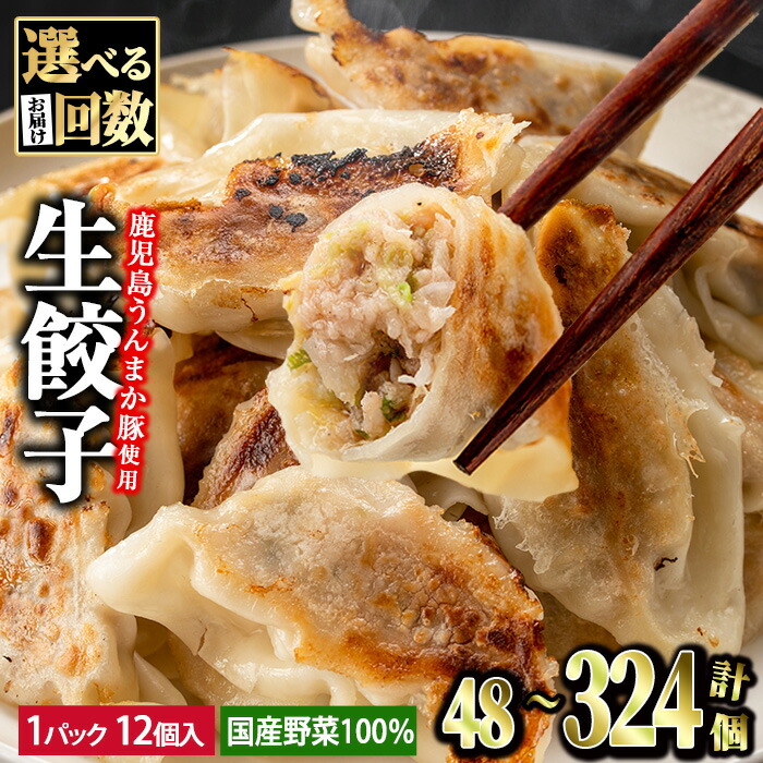 【ふるさと納税】＜容量・お届け回数が選べる！＞タレ付き！鹿児島うんまか豚生餃子(計48個～計324個・1パック12個入り) 鹿児島 にんにく・ニラ不使用 国産野菜100％ ぎょうざ 餃子 ギョーザ 焼き餃子 水餃子 生餃子 おかず 定期便 全3回 連続月 隔月 冷凍 【肉の寺師】