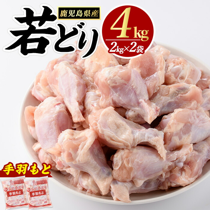 【ふるさと納税】若どり手羽元(4kg)【まつぼっくり】matu-7205