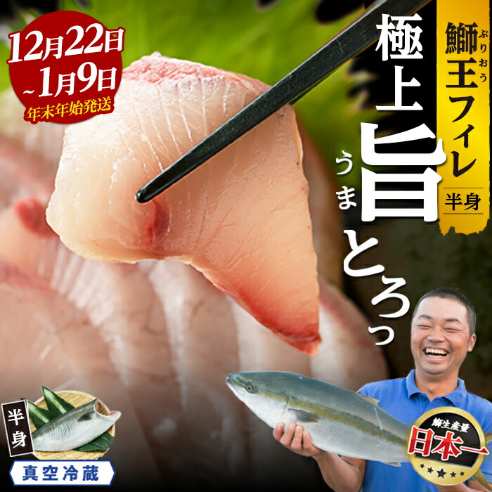 【ふるさと納税】【期間限定特別寄附額】＼年末年始発送 先行予約／【高評価 4.89】＜数量限定＞テレビで紹介ぶりの王様「 鰤王 」 選べる フィレ (半身) 冷蔵 真空パック ふるさと納税 ぶり 刺身 鰤 ぶりしゃぶ たたき 年末発送 贈答 ギフト 人気 ふるさと【JFA】_jfa-7f