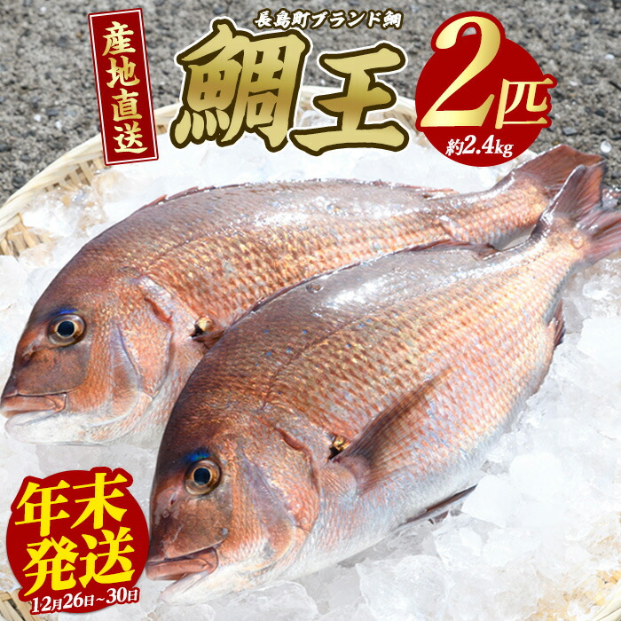 【ふるさと納税】ブランド 真鯛 「 鯛王 」 (まるごと2匹・約2.4kg) 産地直送 長島町 特産品 ブランド 鯛 冷蔵 ふるさと納税 鯛 刺身 鯛めし 鯛茶漬け 漬け丼 海鮮丼 ふるさと 人気 ランキング 【JFA】jfa-22