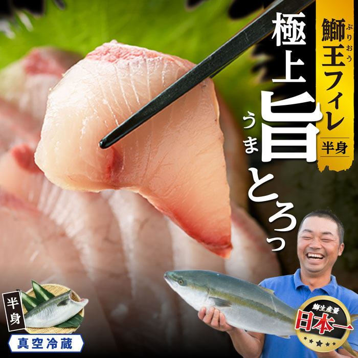 【ふるさと納税】【高評価 4.79】 【選べる「鰤王」「新物 鰤王」】 最短14日前後で発送 テレビで紹介ぶりの王様「 鰤王 」 フィレ 1枚 切り身 冷蔵 真空パック 産地直送 ふるさと納税 ぶり 刺身 切り身 鰤 ぶりしゃぶ 鰤しゃぶ たたき 人気 ランキング 【JFA】jfa-1483