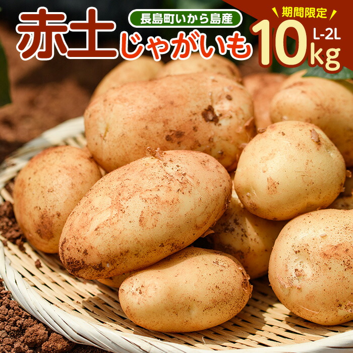 激安！　早い者勝ち　じゃがいも　10 激安！ 早い者勝ち じゃがいも 10