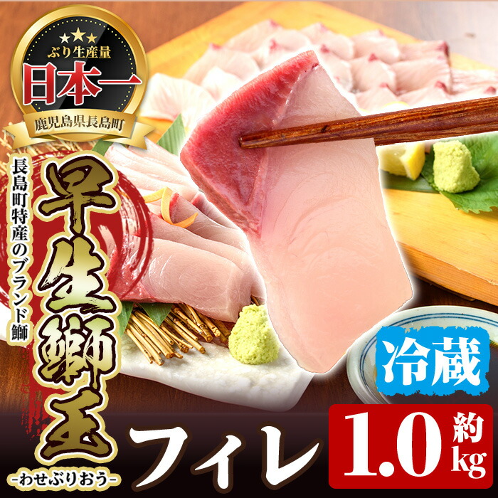 楽天市場】【ふるさと納税】茶ぶり フィレ(約1.4kg×2枚)国産 鹿児島県