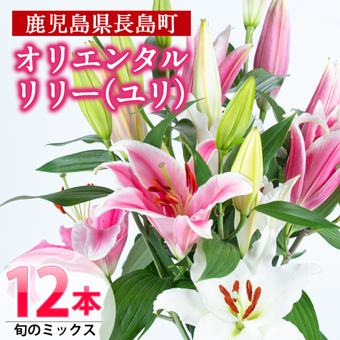 海外 特産品 花束 切花 百合 プレゼント ふるさと納税 オリエンタルリリー 旬のミックス１２本 Miyaji 334 鹿児島県長島町花持ちの良いオリエンタルリリーをお届けします 必ず配送期間を確認してください 長島町 ギフト 花 観葉植物 ゆり ユリ ふるさと納税