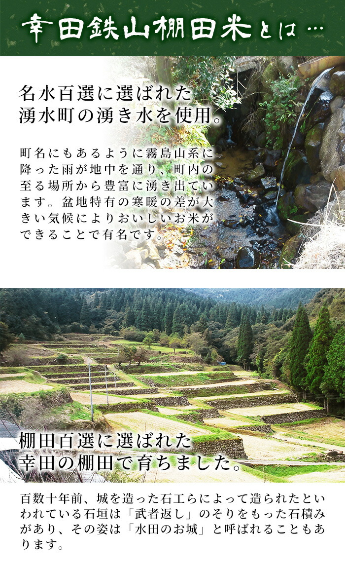 ふるさと納税 最上町 【玄米】令和5年産山形県産もがみ誉れ30kg