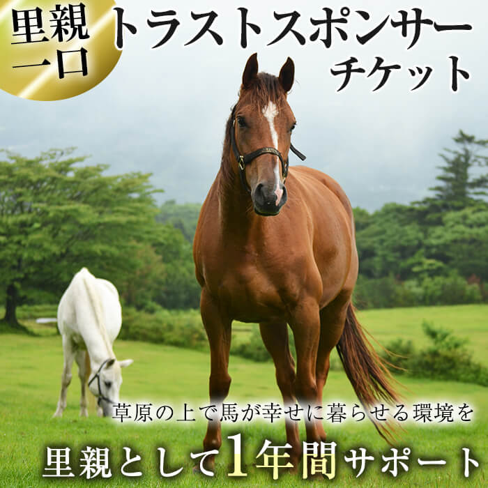 安い購入 ふるさと納税 馬主のいない馬を助けたい トラストスポンサーチケット 里親として1年間サポートするシステムです Npo法人ホーストラスト 100 の保証 Menofchrist Net