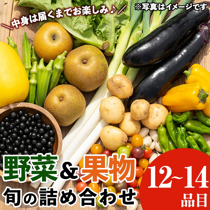 【ふるさと納税】野菜と果物旬の詰め合わせ(12～14品目) 国産 九州産 鹿児島県産 野菜 やさい果物 くだもの フルーツ デザート 詰め合わせ お楽しみ セット 旬【鹿児島県経済農業協同組合連合会】
