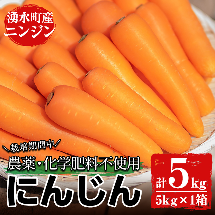 ふるさと納税 数量限定 先行限定受付中 21年12月以降順次発送予定 栽培期間中 農薬不使用 化学肥料不使用の人参5kgセット 植物性の肥料のみで作った人参 上嶋有機自然農園 産地直送 鹿児島県産にんじんを5kgお届け ふるさと納税 湧水町 特産品 野菜 人参 ニンジン