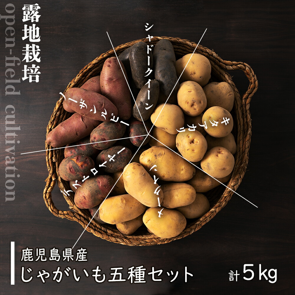 ふるさと納税 数量限定 じゃがいも 5種 セット シャドークイーン 支援 国産 大崎 野菜セット ノーザンルビー お土産 特産品 鹿児島県 デストロイヤー 露地栽培 野菜 キタアカリ 九州産 メークイン 名産品 やさい 鹿児島県産 詰め合わせ ジャガイモ 鹿児島 大崎町 激安超