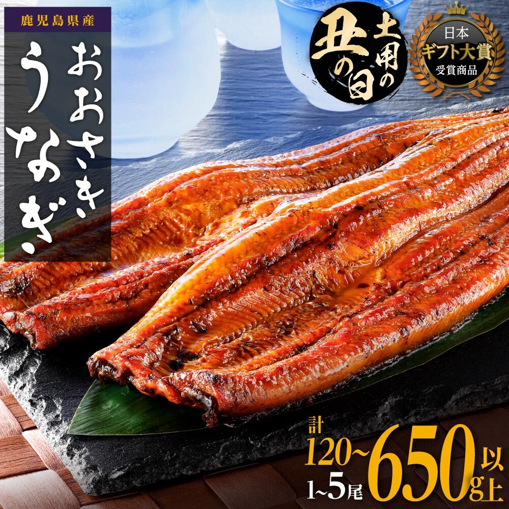 【ふるさと納税】ギフト大賞受賞 ランキング 1位 土用の丑の日 うなぎ 国産 鰻 蒲焼き 1尾 ～ 5尾 120g ～ 650g | ふるさと納税 うなぎ 高級 長蒲焼 鰻 訳あり 不揃い 限定 ウナギ unagi 丑の日 鹿児島 大崎町 ふるさと 人気 ランキング 送料無料｜鹿児島県大崎町 13,680円