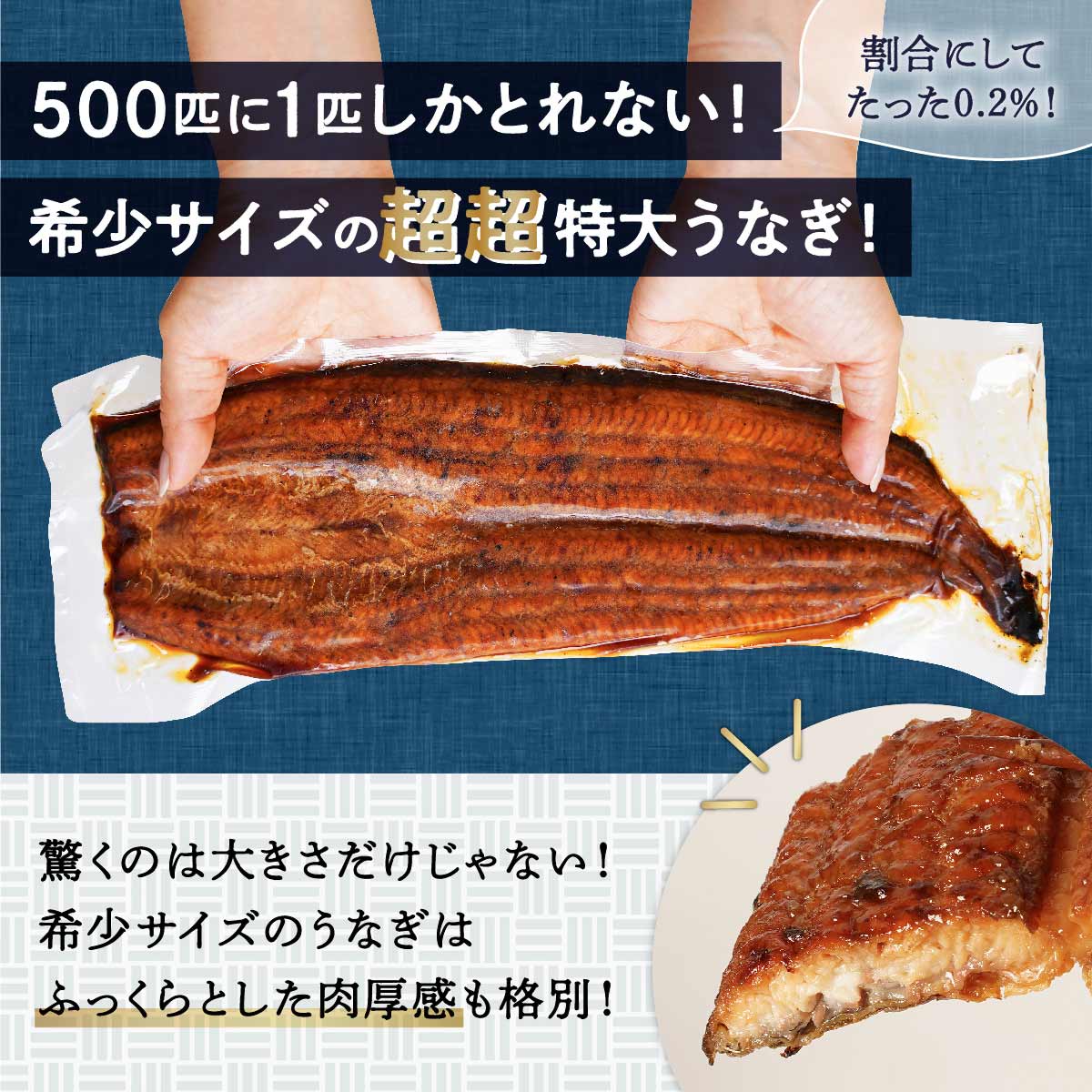 特価品コーナー☆ ひろくんのうなぎ 250g×2尾 鹿児島 鹿児島県 鹿児島県大崎町 九州産 鰻 うなぎ ウナギ 国産 蒲焼 たれ 特産品  www.dexion.com.au