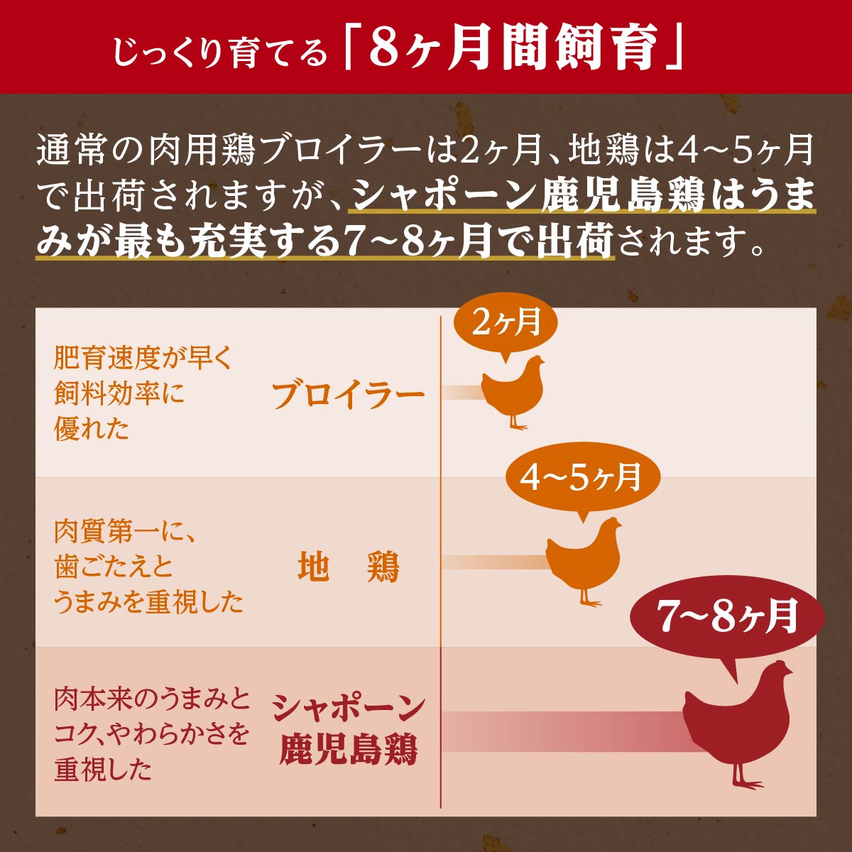 新作通販 幻の性成熟の鶏肉 シャポーン鹿児島鶏たたき 480g 鹿児島県 大崎町 鹿児島 大崎 鹿児島県大崎町 鶏肉 鳥肉 鶏たたき 鳥たたき 肉  にく お肉 冷凍 しゃぶしゃぶ 焼き肉 焼肉 すき焼き すきやき 親子丼 鍋 お取り寄せ ご当地 すき焼 しゃぶしゃぶ肉 鶏 qdtek.vn