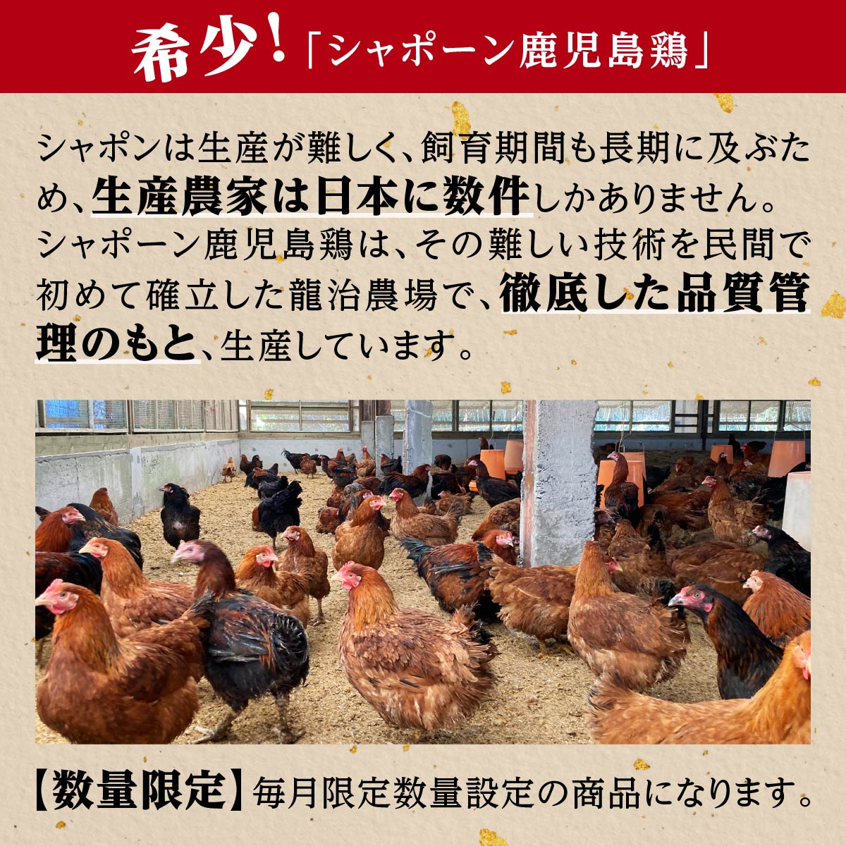 新作通販 幻の性成熟の鶏肉 シャポーン鹿児島鶏たたき 480g 鹿児島県 大崎町 鹿児島 大崎 鹿児島県大崎町 鶏肉 鳥肉 鶏たたき 鳥たたき 肉  にく お肉 冷凍 しゃぶしゃぶ 焼き肉 焼肉 すき焼き すきやき 親子丼 鍋 お取り寄せ ご当地 すき焼 しゃぶしゃぶ肉 鶏 qdtek.vn