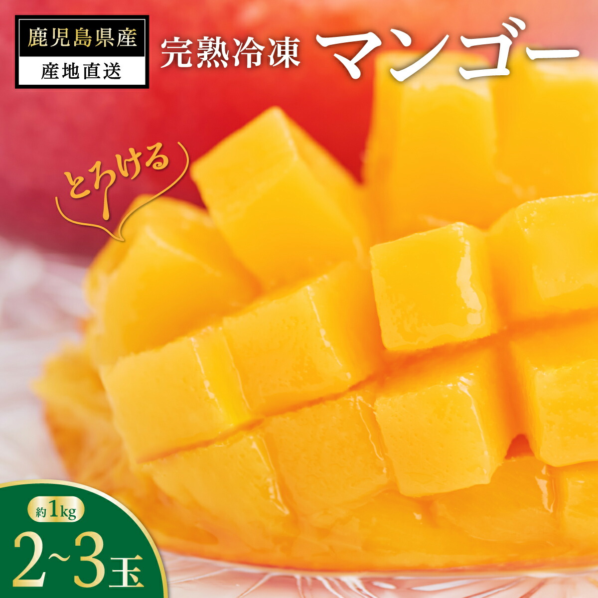 卸直営店（お得な特別割引価格） ふるさと納税 ☆厳選☆ 完熟 与論島マンゴー ２kg（5〜6個）【数量限定】【産地直送】【先行予約】 鹿児島県与論町 