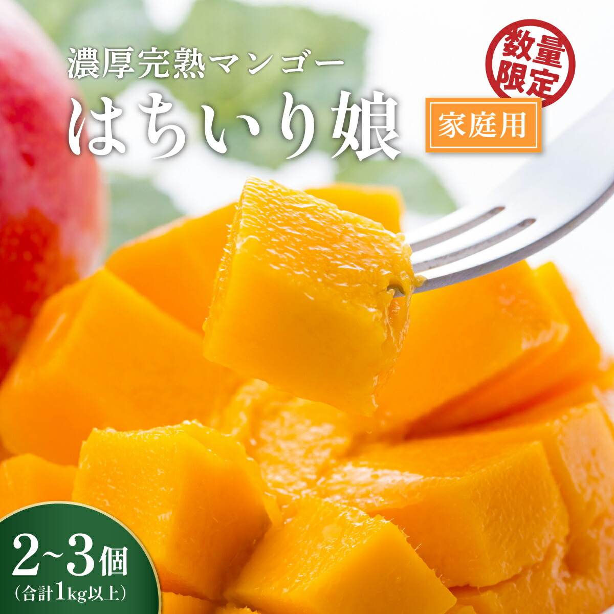 【ふるさと納税】【 数量限定 / 先行予約 】 マンゴー 「 鉢入り娘 」（ ご家庭用 1kg 箱入り ）  | マンゴー フルーツ 果物 大崎町 鹿児島県 お土産 送料無料 鹿児島県大崎町 鹿児島 お取り寄せ 取り寄せ 特産品 支援 マンゴ ご当地 グルメ 大崎 お取り寄せフルーツ 果実