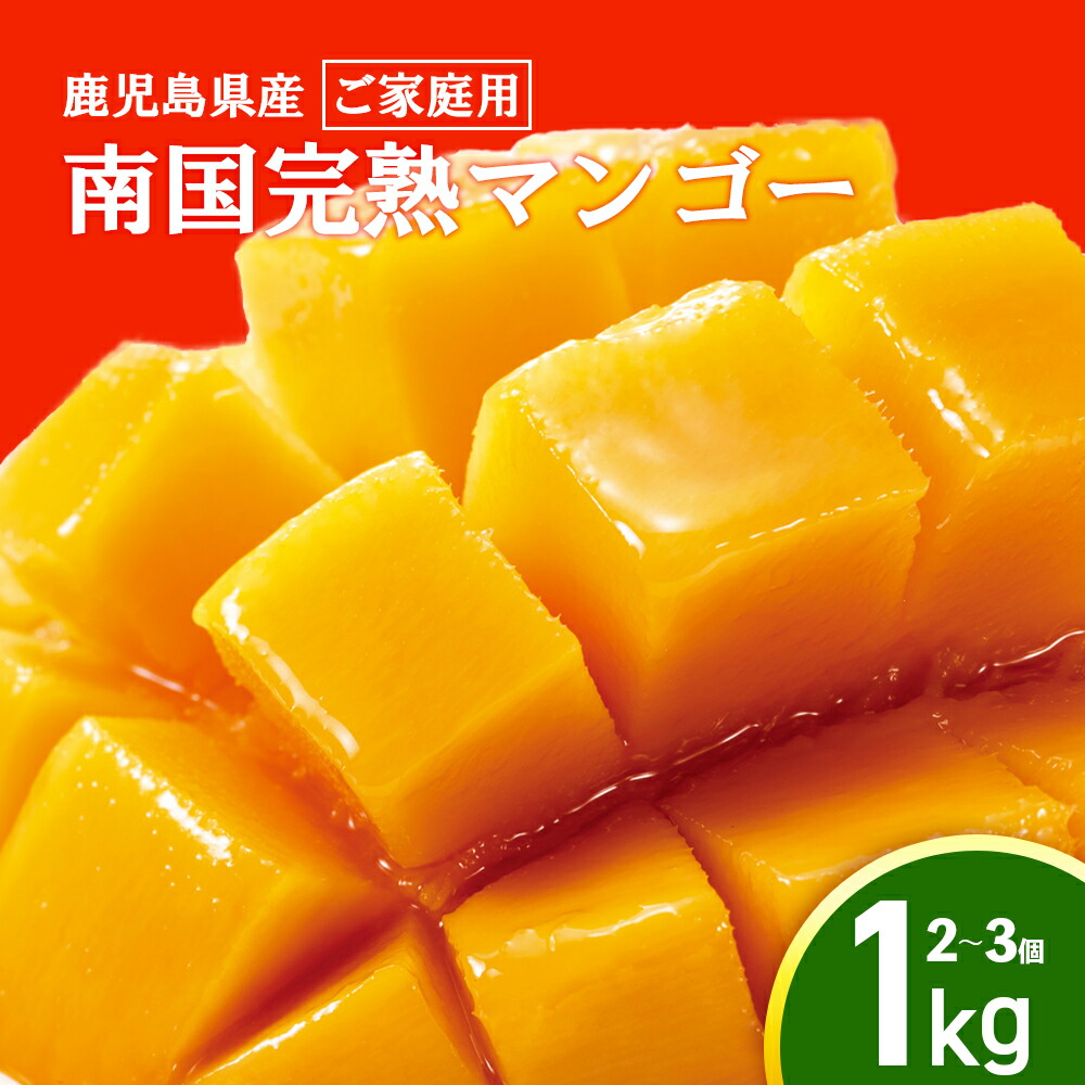マンゴー 12個入り 楽天市場】【ふるさと納税】 訳あり 冷凍 完熟 マンゴー 1kg 1.5kg