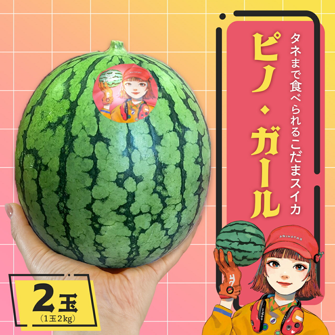 6000円　4玉入り　大満足・大人気の高級スイカ「ピノガール」種まで食べられます ピノガール すいか 種も食べられる 小玉すいか 高糖度 産地厳選