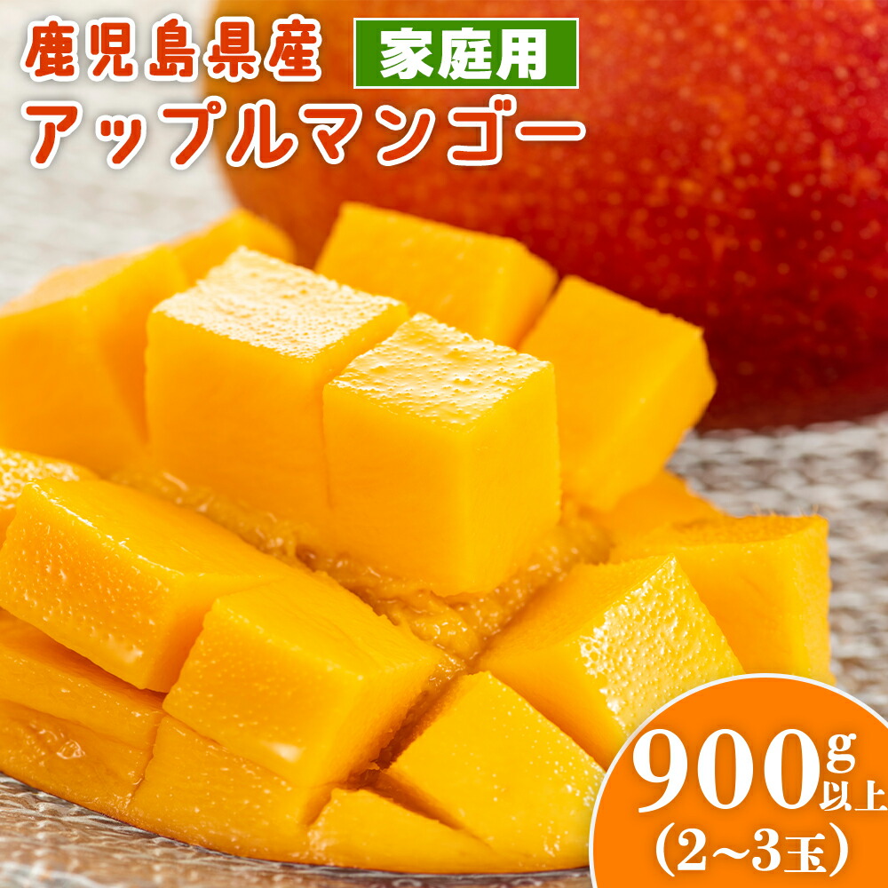 【ふるさと納税】老舗青果店のご家庭用 アップルマンゴー 2～3玉 900g 以上 |  マンゴー 完熟マンゴー 鹿児島県 大崎町 南国 人気 フルーツ 果物 くだもの 結いの街