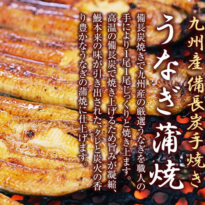 楽天市場 ふるさと納税 最高級鹿児島県産 うなぎ 和牛 セット 鹿児島県大崎町 鹿児島県 大崎町 鹿児島 大崎 ふるさと 納税 九州 お取り寄せ グルメ お取り寄せグルメ 取り寄せ ご当地 ご当地グルメ うなぎ ウナギ 鰻 国産 国産うなぎ 特産品 名産品 牛 牛肉 和牛