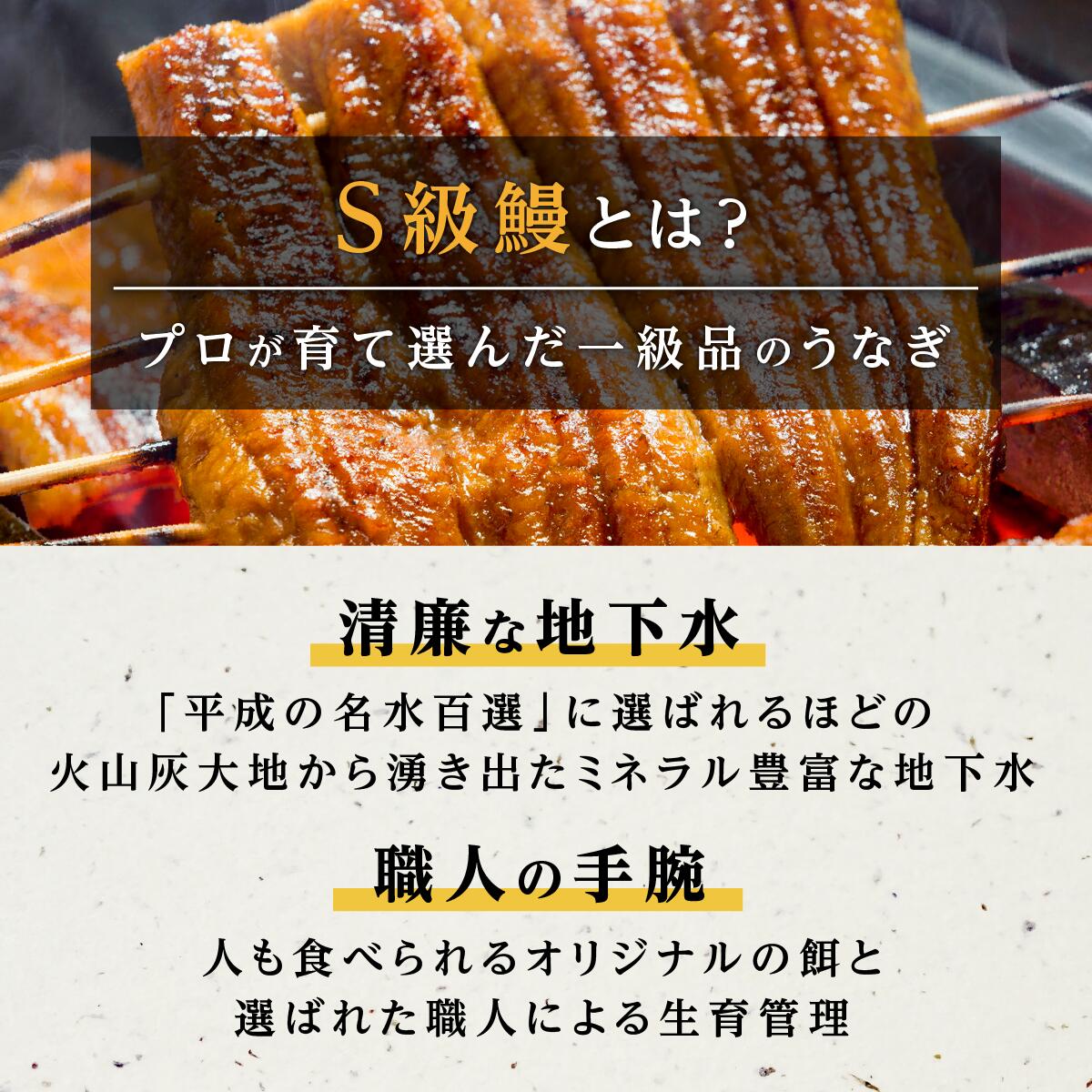 市場 ふるさと納税 鹿児島県 大崎町 白焼き５尾 鹿児島県大崎町 計750g以上 グルメ 影響が大きい事業者支援 大崎 鹿児島 横山桂一さんのS級鰻