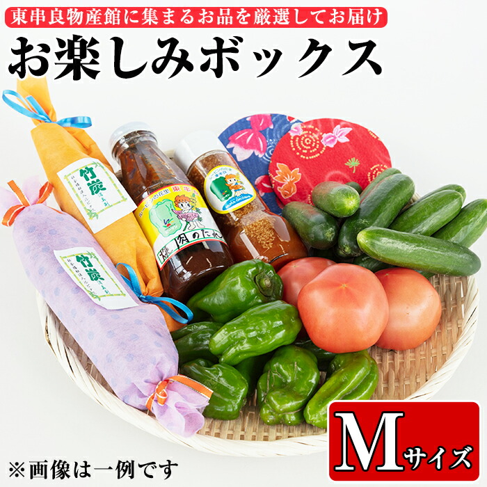 ふるさと納税 東串良物産館のおたのしみbox Mサイズ 新鮮な野菜や加工品を詰め合わせたお楽しみbox 東串良物産館 Psicologosancora Es