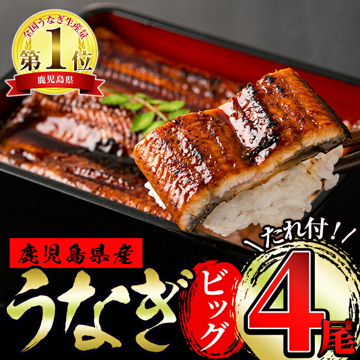 楽天ランキング1位 ふるさと納税 東串良町のうなぎ蒲焼ビッグサイズ 0g以上 4尾 タレ 山椒付 うなぎ生産量日本一の鹿児島 県 国産で安心 豊富な地下水で育ったウナギの蒲焼き アクアおおすみ 工場直送 Lexusoman Com