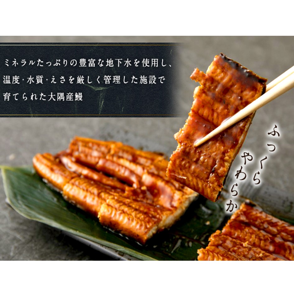 ふるさと納税 その他水産物 大隅産うなぎ蒲焼 無頭 150g 180g その他 5尾 鹿児島県東串良町ミネラルたっぷりの豊富な地下水とビニールハウスの中で 水温 水質等を一定に保ち良好な環境で大事に育てた 美味しいと評判の鰻です ふるさと納税 その他水産物 大隅産うなぎ蒲焼 無頭 150g 180g その他 5尾 鹿児島県東串良町ミネラルたっぷりの豊富な地下水とビニールハウスの中で 水温 水質等を一定に保ち良好な環境で大事に育てた 美味しいと評判の鰻です