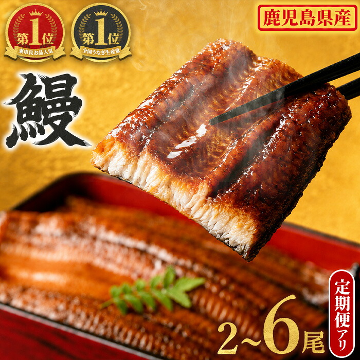 【ふるさと納税】 うなぎ 蒲焼 無頭 国産 ＜2尾～6尾 / 定期便 選べる＞ 鰻 ウナギ 鹿児島県産 九州産 東串良町 タレ・山椒付 発送時期が選べる 定期便2尾&times;3回 【アクアおおすみ】｜鹿児島県東串良町