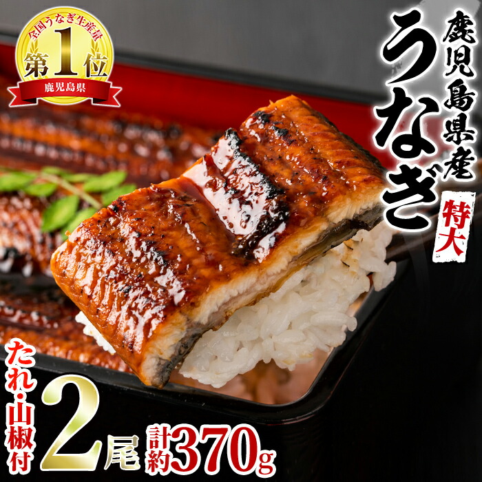 【ふるさと納税】＼高評価★4.88獲得！／＜特大＞うなぎ蒲焼き(無頭)(2尾・計約370g・タレ、山椒付) うなぎ 高級 ウナギ 鰻 国産 蒲焼 蒲焼き たれ 鹿児島 ふるさと 人気【アクアおおすみ】【0154302a】
