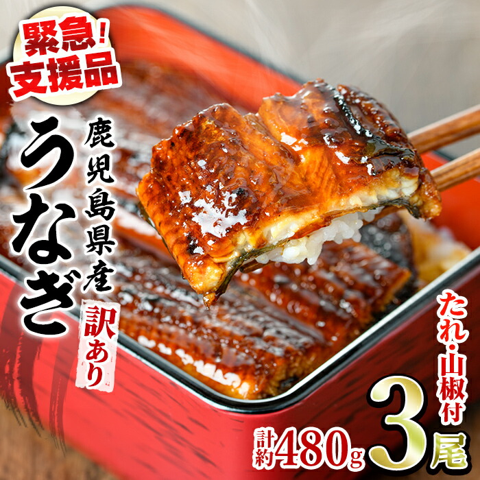 【ふるさと納税】【緊急支援品】＜訳あり・数量限定＞鰻の蒲焼き(無頭)(3尾・計約480g・タレ、山椒付) うなぎ ウナギ 鰻 国産 蒲焼 蒲焼き たれ 鹿児島 ふるさと 人気 支援【アクアおおすみ】【0154316a】