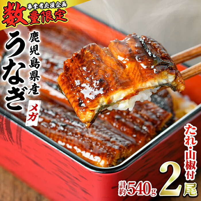 【ふるさと納税】＼高評価★4.76獲得！／＜数量限定＞＜メガサイズ＞「養鰻業者応援」うなぎ蒲焼き(無頭)(2尾・計約540g・タレ、山椒付) うなぎ 高級 ウナギ 鰻 国産 蒲焼 蒲焼き たれ 鹿児島 ふるさと 人気【アクアおおすみ】【0174318a】