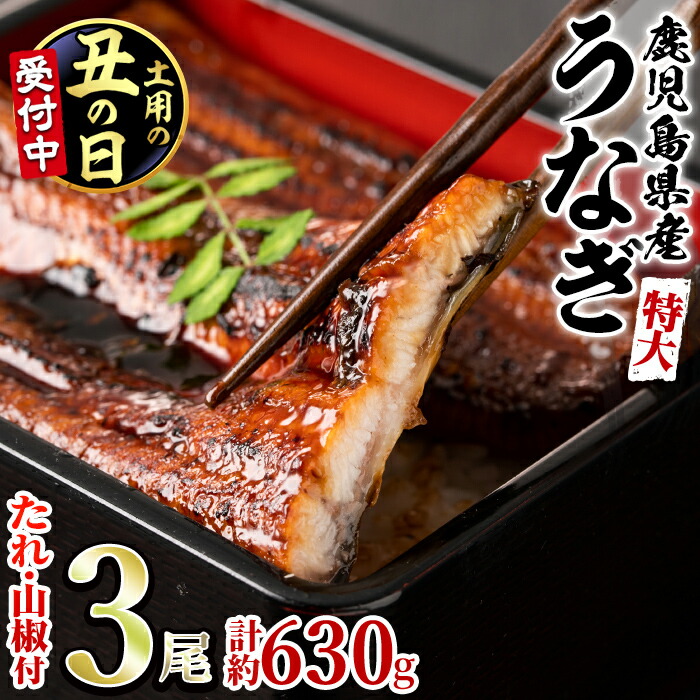 【ふるさと納税】＼高評価★4.81獲得！／東串良町のうなぎ蒲焼(無頭)(3尾・計約630g・タレ、山椒付) 丑の日 土用丑の日 うなぎ 高級 ウナギ 鰻 国産 蒲焼 蒲焼き たれ 鹿児島 ふるさと 人気【アクアおおすみ】
