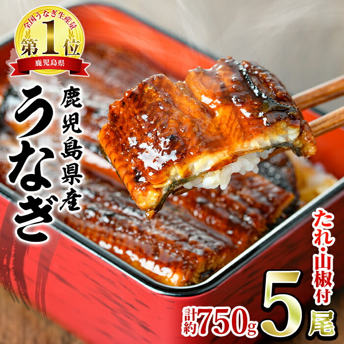 【ふるさと納税】＼高評価★4.77獲得！／東串良町のうなぎ蒲焼(無頭)(5尾・計約750g・タレ、山椒付) うなぎ 高級 ウナギ 鰻 国産 蒲焼 蒲焼き たれ 鹿児島 ふるさと 人気【アクアおおすみ】【0294315a】