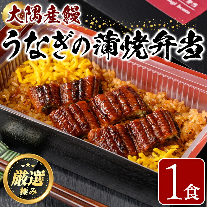【ふるさと納税】＜おためし＞大隅産鰻の冷凍弁当(冷凍品)(1食分・計240g タレ、山椒付) うなぎ 高級 ウナギ 鰻 うなぎの蒲焼 蒲焼 国産 ごはん ご飯 お米 おかず 鹿児島 ふるさと レンチン 電子レンジ 【南嘉起屋】【0085705a】
