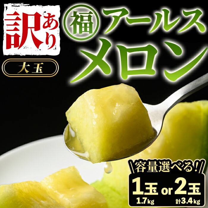 【ふるさと納税】＼高評価★4.8獲得！／《先行予約受付中！》＜容量が選べる！＞＜訳あり＞マル福の高級アールスメロン(大玉1玉・1.7kg/大玉2玉・計3.4kg) メロン フルーツ 果物 果実 旬 訳あり 訳アリ 数量限定 期間限定 【マル福園芸組合】【0111109a】【0211116a】｜鹿児島県東串良町