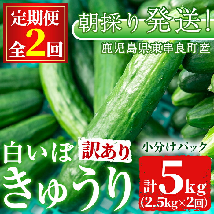 森のきゅうりさま依頼資料 楽天市場】【ふるさと納税】＜内容量が選べる！＞宮崎県産