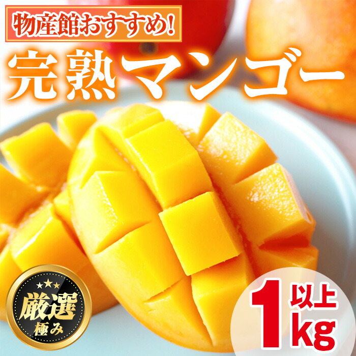 【ふるさと納税】＼高評価★4.94獲得！／＜数量限定＞南国鹿児島県産の太陽の恵み！完熟マンゴー(計1kg以上・2-3個入り) 果物 フルーツ 果実 デザート 国産 冷蔵【東串良物産館ルピノンの里】【0145910a】
